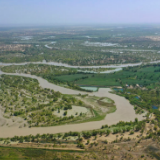 新华全媒+|江河奔腾看中国|塔里木河:沙漠中的绿色走廊