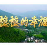 奔向美好生活｜稳稳的幸福