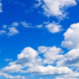 山南哲古—— 从扎根牧场到“打开市场”