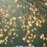 跟着古人过秋天｜藏在秋天里的“十大雅事”