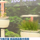 进博会今晚开幕 新品精品集中亮相