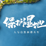 珍爱“地球之肾” 共同守护美丽家园
