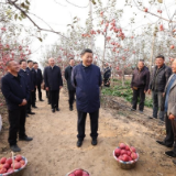 一见· 从“苹果故事”读懂总书记的人民情怀