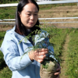新华全媒+|“植物大熊猫”崖柏野外回归记