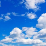 科普:守护“地球之肾”湿地有多重要