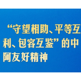 首届中阿峰会上，习近平这样论中阿友好合作