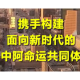 第1视点｜习近平：携手构建面向新时代的中阿命运共同体