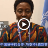 COP 15秘书长：全球生物多样性框架将成为中国的宝贵财富