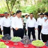 这一年,总书记为他们点赞鼓劲!