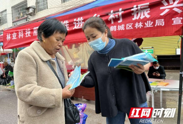 鹤城区：林业科技下乡暖人心