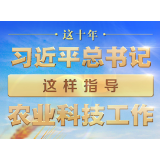 这十年，习近平总书记这样指导农业科技工作
