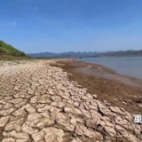 新华全媒+｜重庆湖北多地抗旱一线见闻