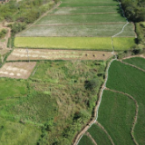 烈日下，为干旱的稻田送来灌溉用水——湖南衡阳抽水保灌一线见闻