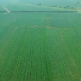 中国这十年 | 2021年全国耕地总量实现净增加 夯实国家粮食安全基础