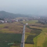 在希望的田野上 | 万亩金黄稻谷香 颗粒归仓丰收忙