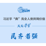 习近平“典”亮全人类共同价值丨民齐者强