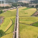 在希望的田野上 | 湖北秋收开镰 各地多举措保增产增收