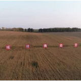 科技助建“黑土粮仓” | “星-空-地”立体监测网支撑智能化管控