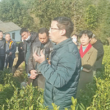 “服务群众永不止步”（人民满意的公务员）