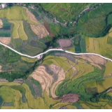 在希望的田野上 | 稻谷飘香迎丰收 瑶乡梯田美如画