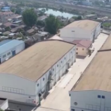 夏粮旺季收购近尾声 收购量同比有所增加