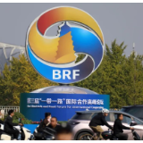 南非学者：150多个国家加入“一带一路”，本身就是对西方谬论的有力回击