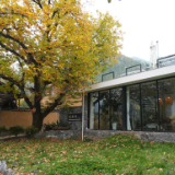 世界的香格里拉丨民宿经济为乡村振兴注入新活力