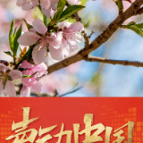 声动中国丨听！与春天有关的BGM