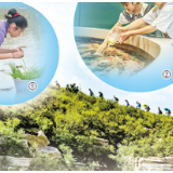 传播科学 点燃梦想