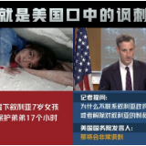 玉渊谭天丨且看戴着面具的恶霸