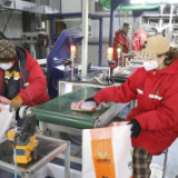 赶订单、扩产能、增质效——听,来自生产一线的信心