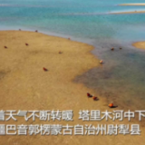 新疆塔里木水库：黄沙嵌碧水 群鸟漾春波