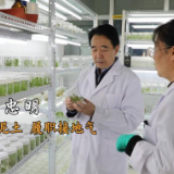 代表委员履职故事｜全国政协委员马忠明：脚下有泥土 履职接地气