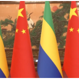 刚强@大国外交最前线丨提升坚如磐石的中加友好 凝聚更加团结的中非合作