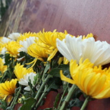 习声回响丨传承精神，是对英烈最好的缅怀