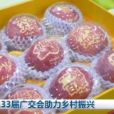 第133届广交会助力乡村振兴