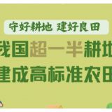 守好耕地、建好良田 我国超一半耕地建成高标准农田