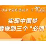 《习近平著作选读》学习笔记：实现中国梦要做到三个“必须”