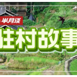 驻村“战术板”，写满振兴策