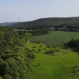 打造优良栖息环境 保护生物多样性 东北虎豹种群数量得到提升