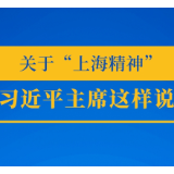 推动上合组织发展,习近平主席这样说