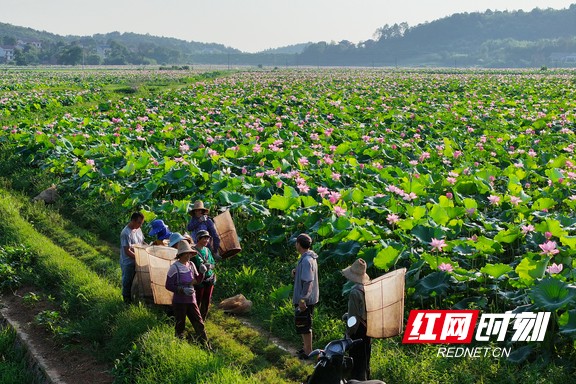 微信图片_20230808165416.marked.jpg