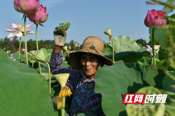 微信图片_20230808165419.marked.jpg
