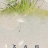 中国人的故事|不怕难，我是中国青年