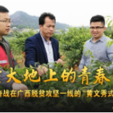 八桂大地上的青春之歌——记奋战在广西脱贫攻坚一线的“黄文秀式”干部