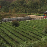 辉煌“十三五”丨湖南：精细农业放异彩