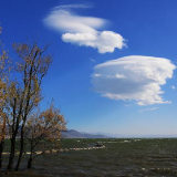 冬季到大理来看云