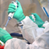 约翰斯·霍普金斯大学：全球新冠肺炎确诊病例超27万例