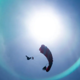 伞花与春天相遇，画面太酷太美