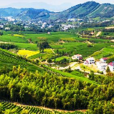 习近平浙江行丨安且吉兮 15年后再到余村